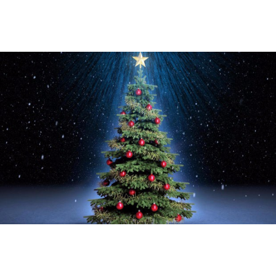 Rozsvěcování vánočního stromu