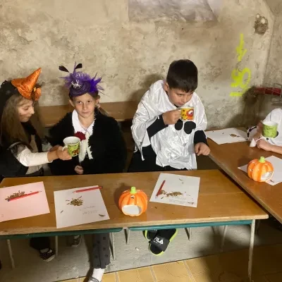 image-22901